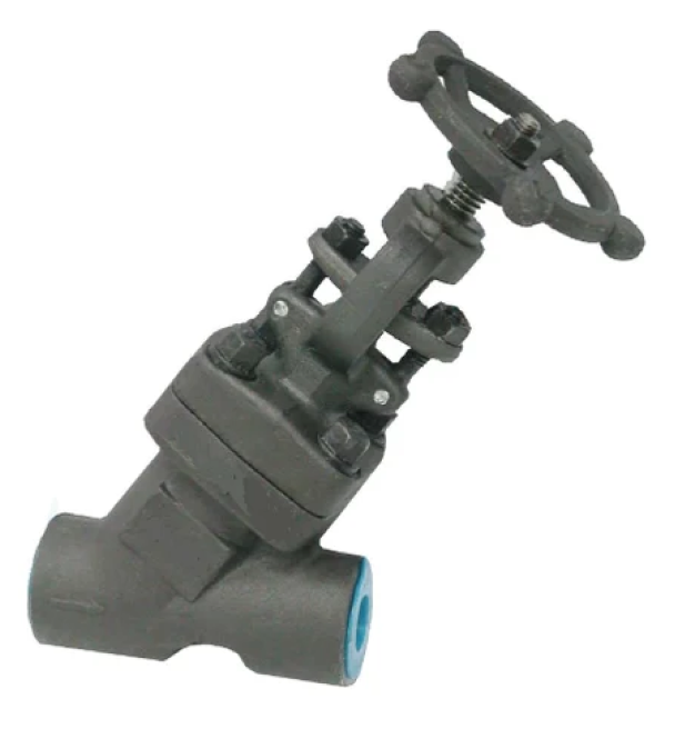 Bellow Seal Y-Type Valves-image