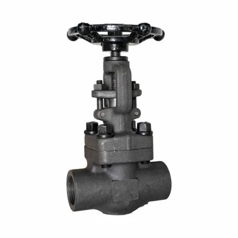 Forged Steel Valves-image