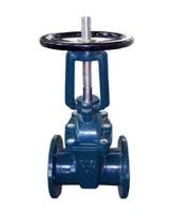 Rising Stem Gate Valves-image