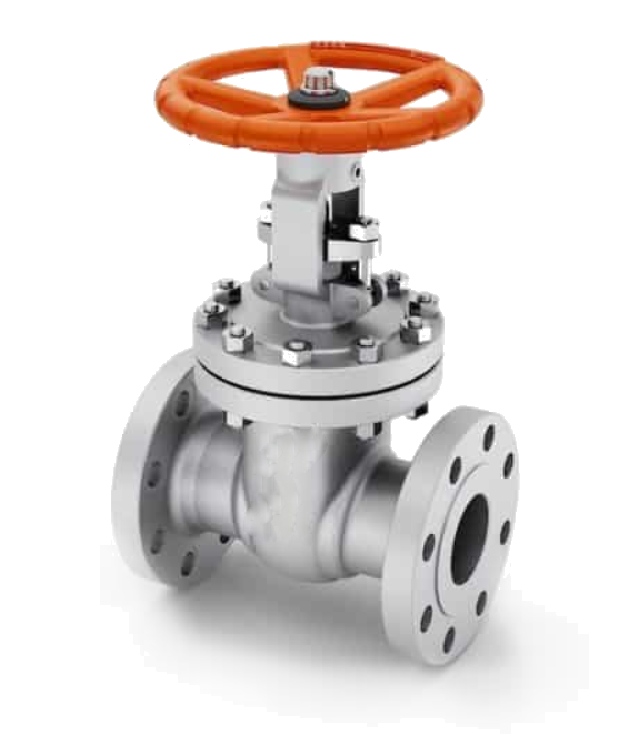 Gate Valve (Stainless Steel GGC Valve)-image