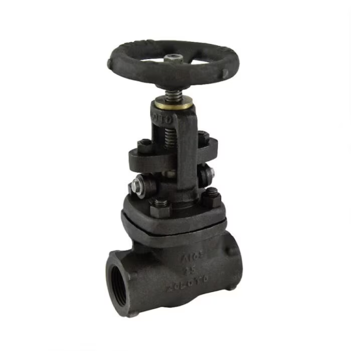 Globe Valve (Forged Steel)-image