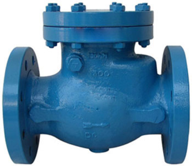 Check Valves (NRV)-image