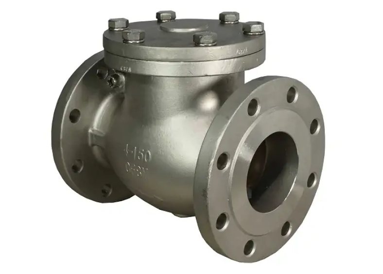 Swing Type Check Valves (NRV)-image