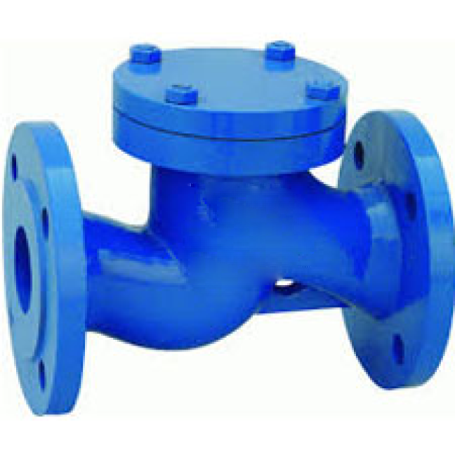 Lift Type Check Valves (NRV)-image