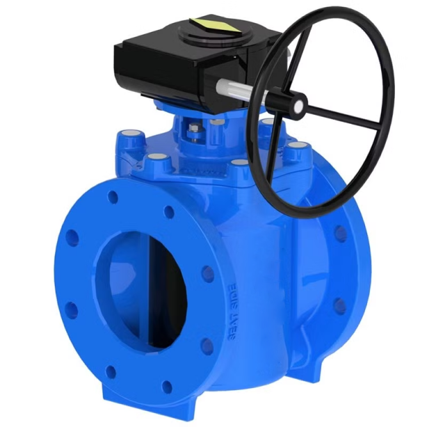 Eccentric plug valves-image