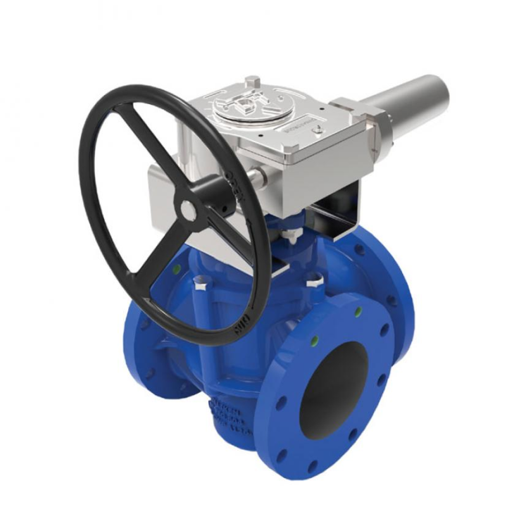 Multi-port plug valves-image